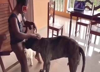 Cuckold records the way his wife fucks a dog