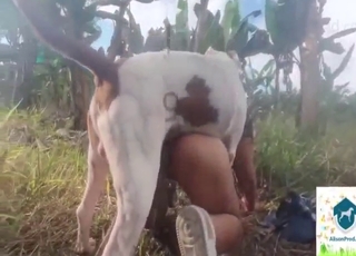 Latina stunner fucking a dog outside, all hot