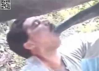 Bestiality porn scene with a guy who sucks horse