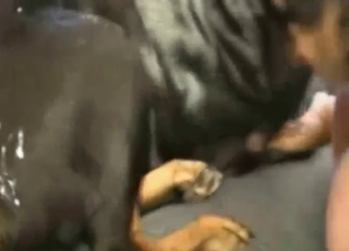 Craziest bestiality sex with a submissive dog