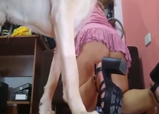 Eaten by her dog before getting fucked silly