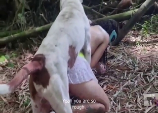 Dog fucking in a compilation with gaping