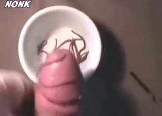 Zoo porn with worms and urethra domination