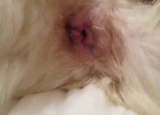 Hard-bodied hot dog gets fucked from behind