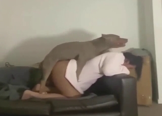 This brunette is an obedient dog dick whore