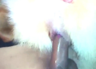 Zoophile porn with a hot guy who gapes dog