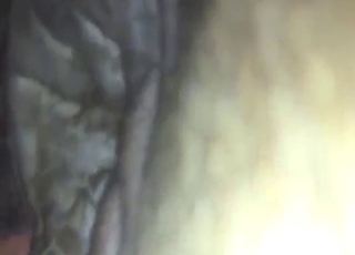 Pony's pretty pussy will get gaped by him