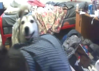 Lustful teen gets his 18 YO ass fucked by Husky