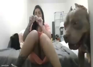 Have a nice time with a dog on all fours too