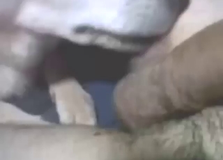 Skinny and sexy dog lets this dude fuck mouth