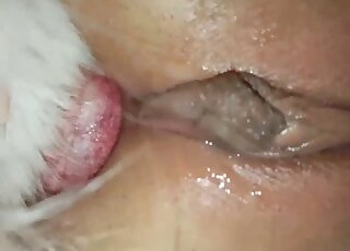 Sluts
