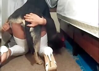 Shemale gets to fuck a kinky mutt here